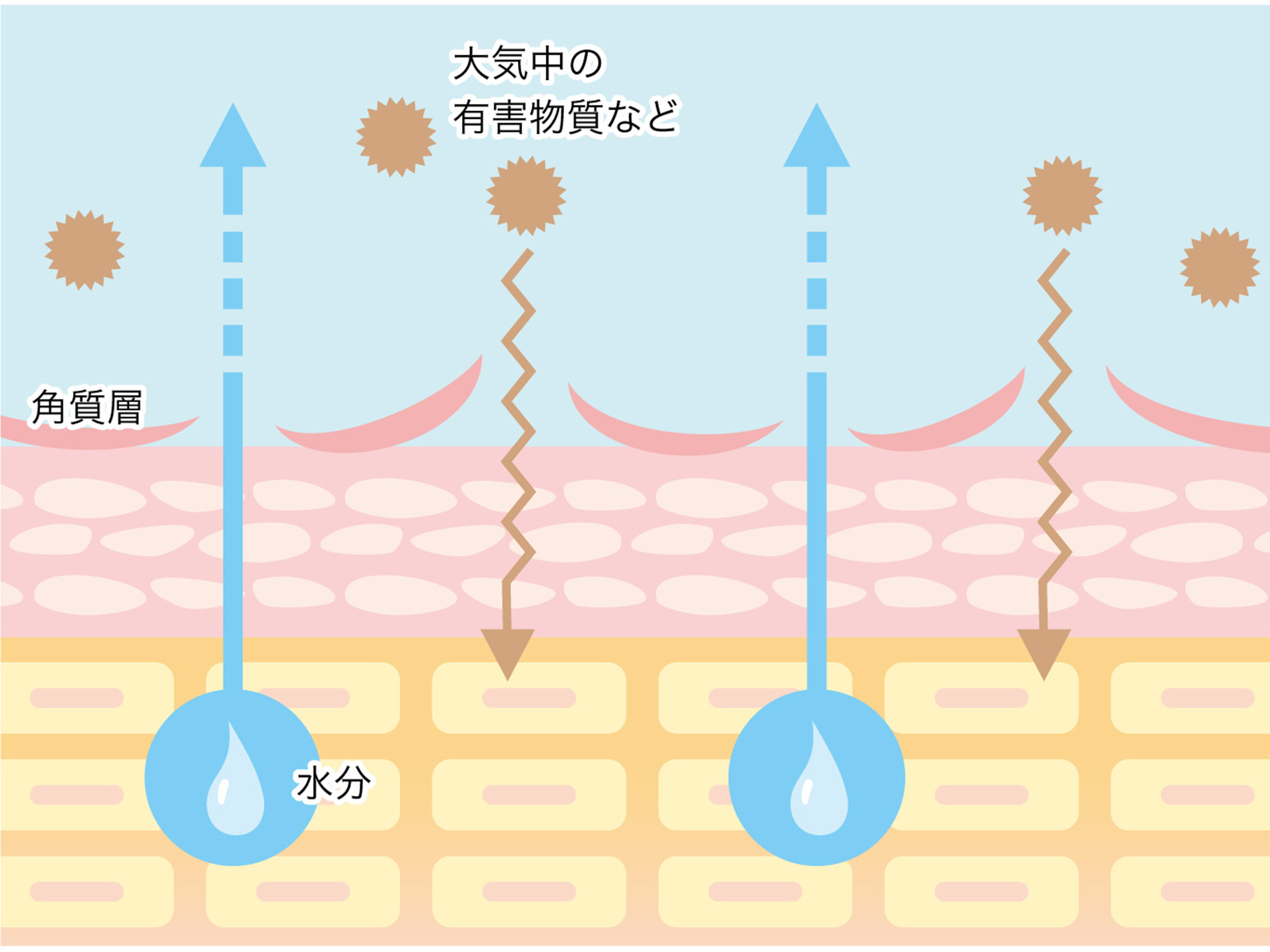 ゆらぎ肌になってしまうメカニズム