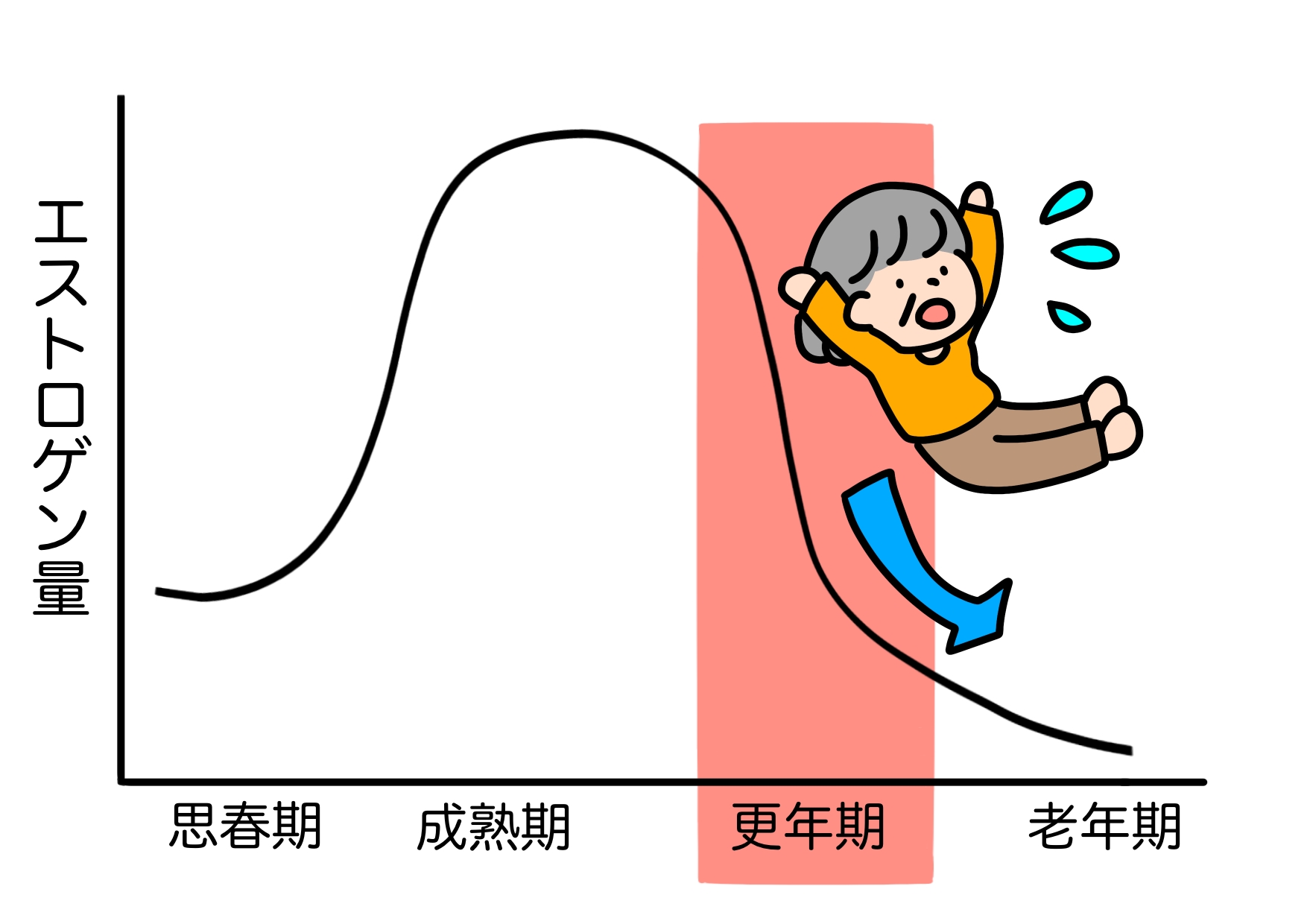 更年期とエストロゲン分泌量の低下の図