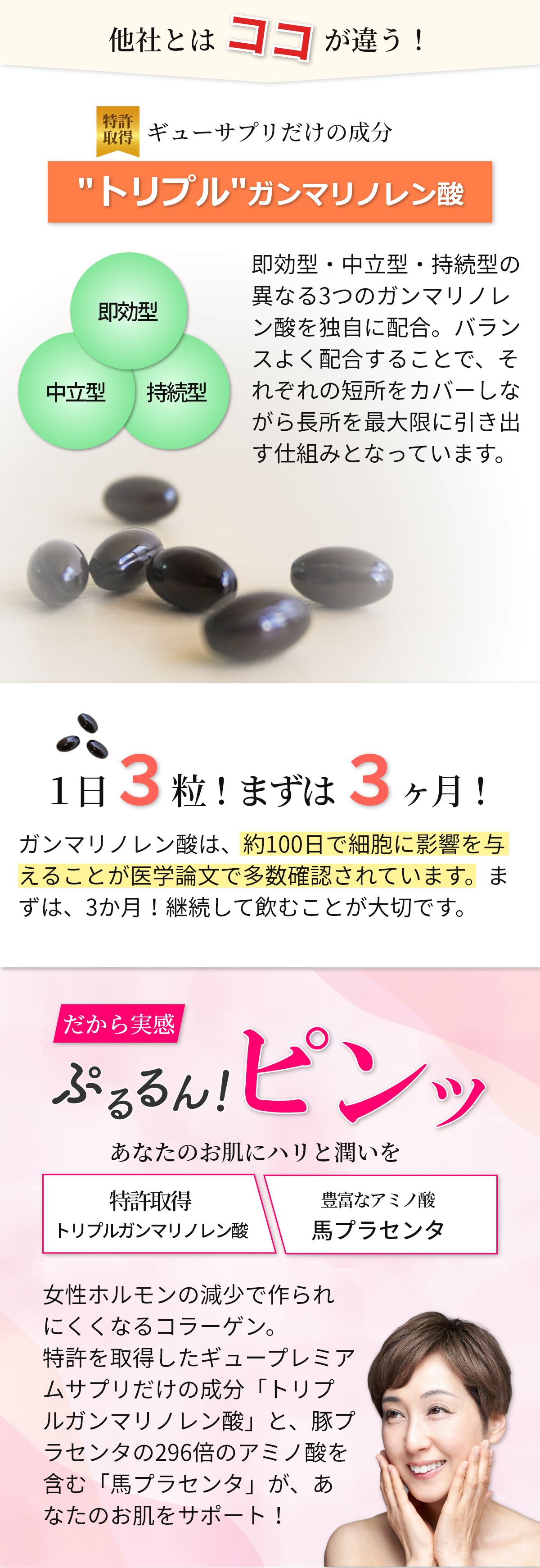 ブランド品 ギュー プレミアム サプリメント 90粒 i9tmg.com.br