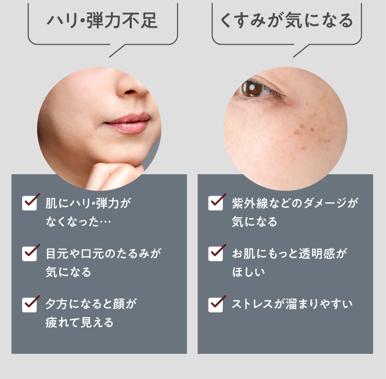 ハリ・弾力不足/肌にハリ・弾力がなくなった&hellip;/目元や口元のたるみが気になる/夕方になると顔が疲れて見える/ or くすみが気になる/紫外線などのダメージが気になる/お肌にもっと透明感がほしい/ストレスが溜まりやすい