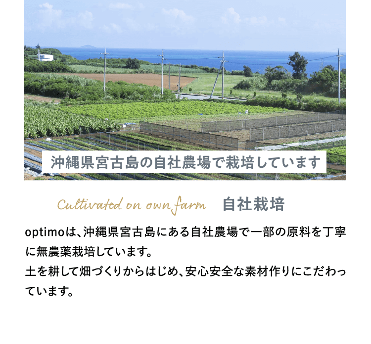 徹底した衛生管理もと製造を行っています